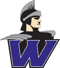 Logo 1